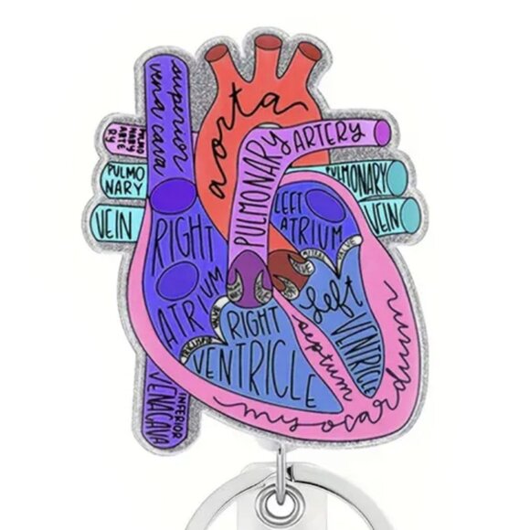 Heart ID, Key, Card Holder for Nurses, Doctors, Nursing Students, Healthcare - Picture 2 of 6